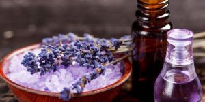 Lavender Oil