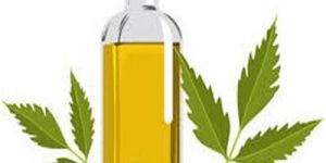Neem Oil