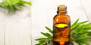 Tea Tree Oil