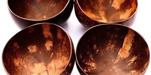Coconut Shell Bowls