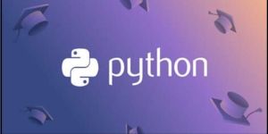 Python Training Services