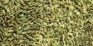 Fennel Seeds