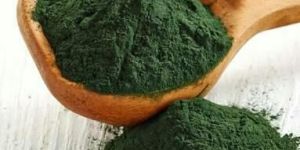 Spirulina Powder
