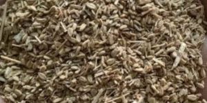 BHUSI KANNI AJWAIN SEED