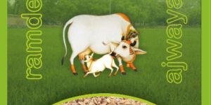 RAMDEV AJWAIN (PASHUAHAR, CATTLE FEED, ANIMAL FEED)