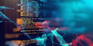 Computer Software Developers