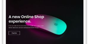 Online Shopping Websites