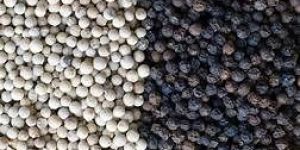 Black Pepper
