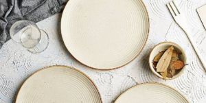 Matte Finish Ribbed 10inch Dinner Plate