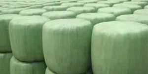 Silage Film