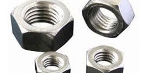 Hex Nut
