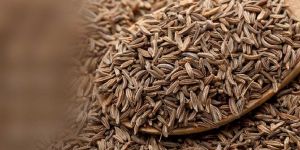 Cumin Seeds