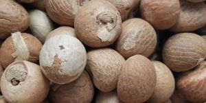 Natural Betel Nuts