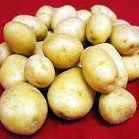 Fresh Potato