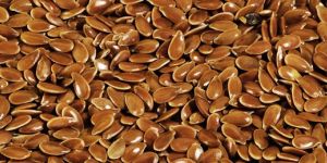 Flax Seed/Lin Seed