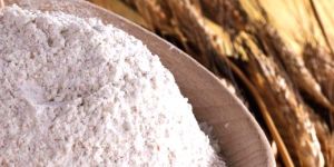 Whole Wheat Flour