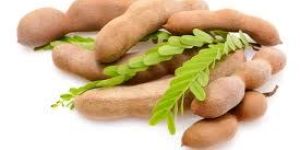 Tamarind