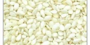 Sesame Seed: Natural and Hulled