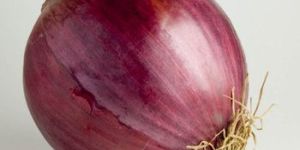 Fresh Red Onion
