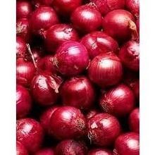 Fresh Red Onion