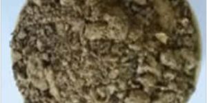 Castor De Oiled Cake