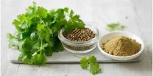 Coriander Powder