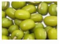 Green Moong Beans Pulse and Dal
