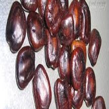 Tamarind Seed