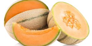 Fresh Muskmelon
