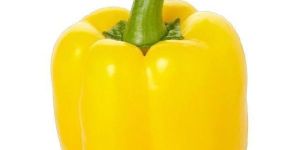 Fresh Green Red Yellow Capsicum