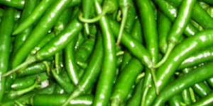 Fresh Green Chilli