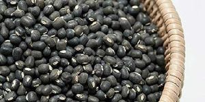 Urad Beans