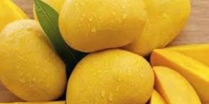 Organic Alphonso Mango