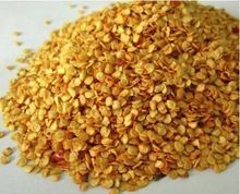 Chilli Seeds