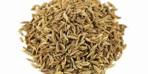 Cumin Seed