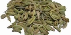 Fennel Seed