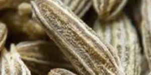 Cumin Seed