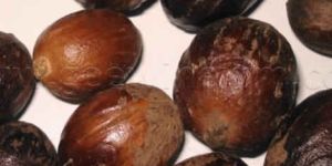 Nutmeg
