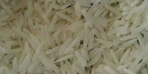 1121 White Sella Rice