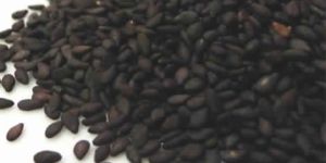 Sesame Seed