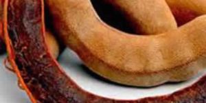 Tamarind