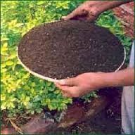 Vermicompost