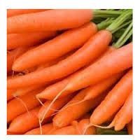 Farm Fresh Carrots