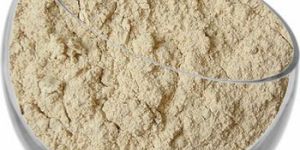 Dehydrated Garlic Powder