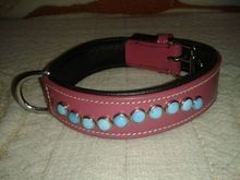 Cat Collars