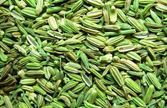 Fennel Seed