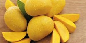 Fresh Organic Mango