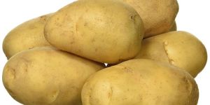 Fresh Organic Potato