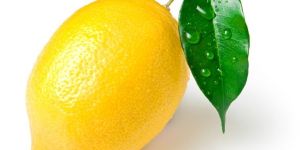 Fresh Yellow Lemon
