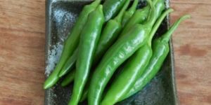 Organic Green Chili